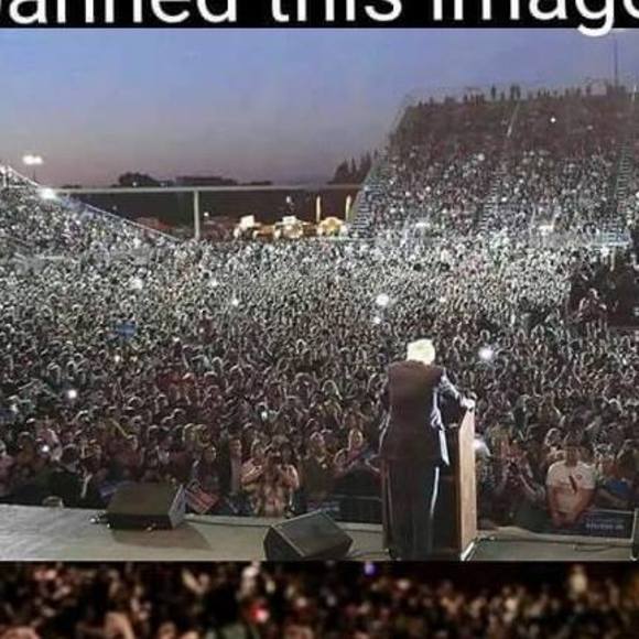 Meet your Posher, Joli - Picture 1 of 1